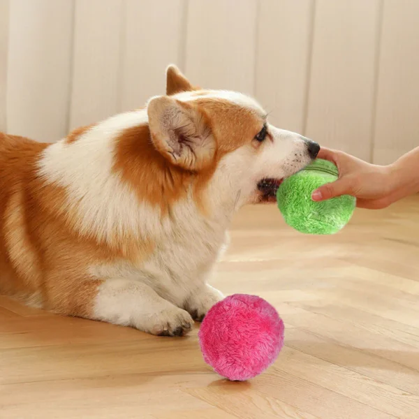 Fluffy pet - Automatisk rullende ball - Bilde 2