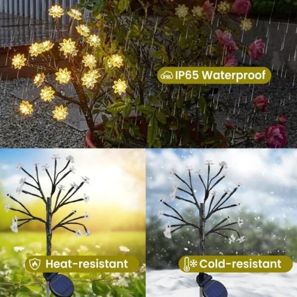 Soldrevne hageblomster (20 stk.) - Bilde 2
