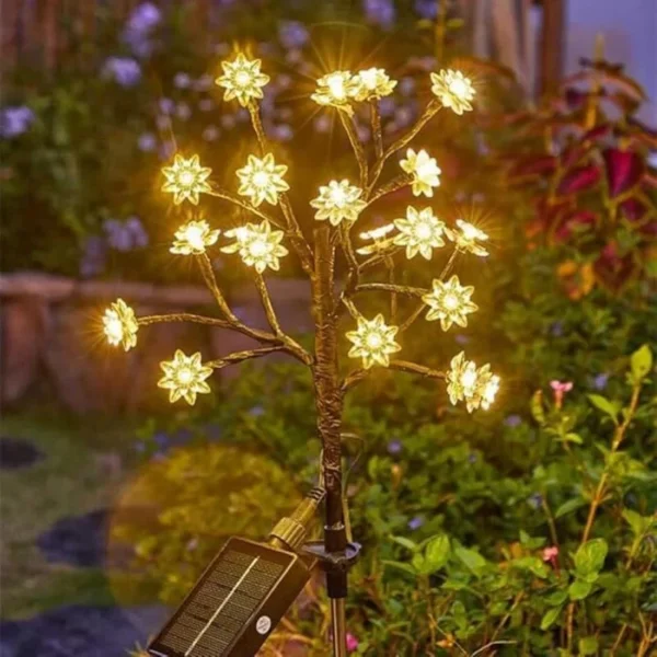 Soldrevne hageblomster (20 stk.)